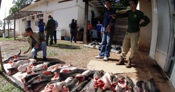 Sema apreende 105 quilos de pescados sendo transportados irregularmente na baixada cuiabana