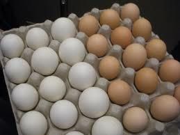 MT  destaque na produo de ovos no Centro-Oeste e tem leve crescimento entre 2012 e 2013