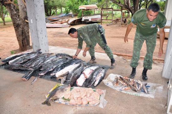 Seis pessoas foram presas com 500 quilos de pescado irregular em MT