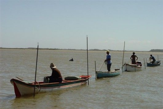 Ministrio da Pesca prorroga prazo de renovao de carteira profissional