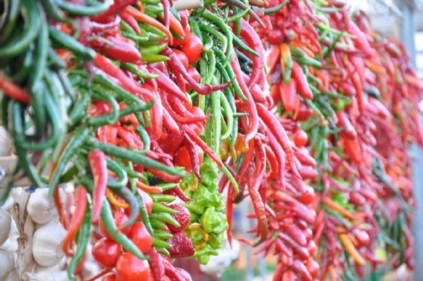 Apesar de muito cultivado, a pimenta no tem retorno econmico favorvel ao agricultor
