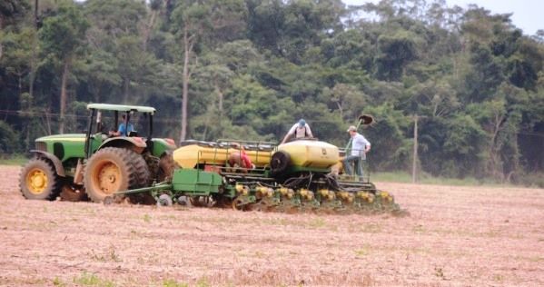 Em Vera, regio Norte do Estado, foi semeado 97.5% da rea