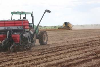 Chuva acelera trabalhos no campo e produtores batem recorde de semeadura de soja
