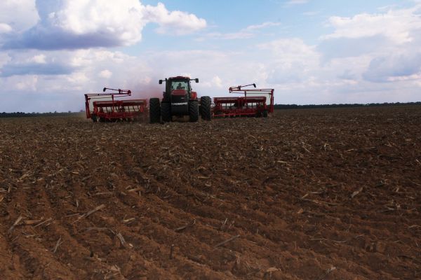 Plantio da soja no Mato Grosso do Sul  interrompido pela falta de chuva