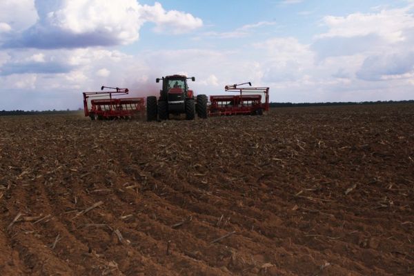 Produtores ainda esperam chuvas para iniciar plantio de soja em Mato Grosso