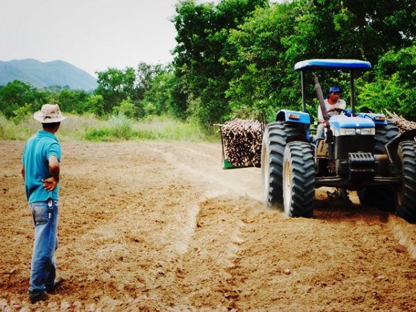 Produtores rurais so orientados para o plantio mecanizado da mandioca em Jangada
