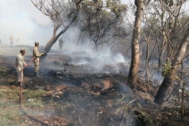 Mato Grosso lidera focos de queimadas em 2014 com 26,1% dos casos do pas; Tocantins  o segundo