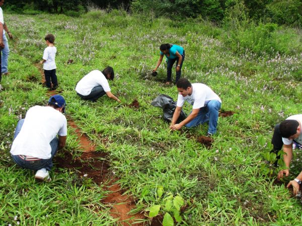 Projeto ambiental no sul de Mato Grosso j plantou 15 mil mudas s margens de nascentes