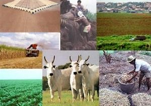 Plano Agrcola 2012/13 libera R$ 66 bilhes para os produtores rurais