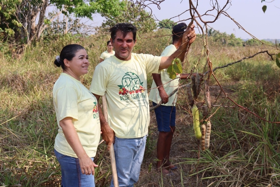 Projeto impulsiona coleta de sementes e promove impacto social com apoio do Programa REM MT