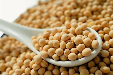 Preo da soja em Mato Grosso retrai aps USDA divulgar estoque mundial