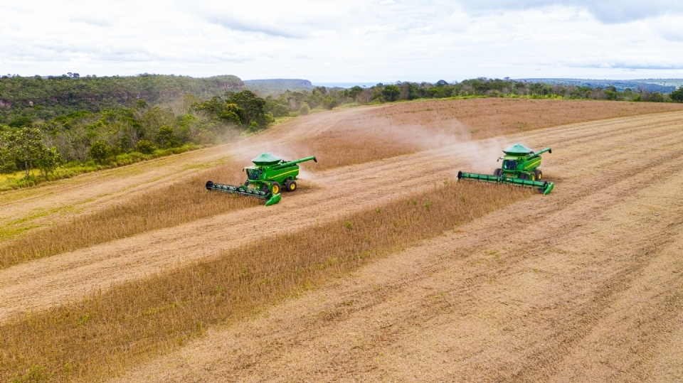 Procura por leo e farelo aumenta esmagamento de soja em Mato Grosso entre janeiro e agosto