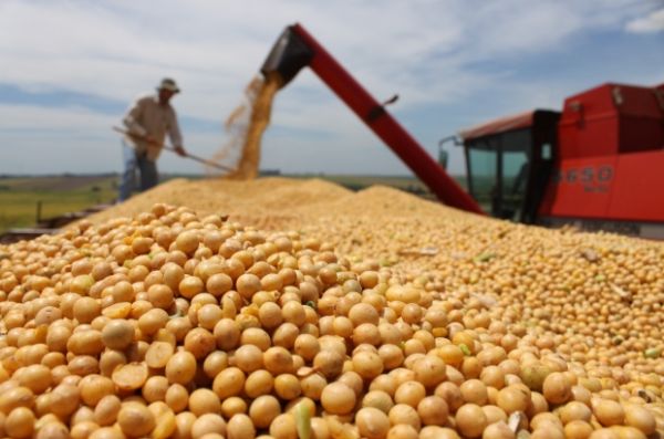 Atraso no plantio de soja nos EUA tende a valorizar preo do gro no mercado