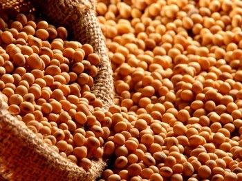 Mato Grosso tem cerca de 4,8 milhes de toneladas de soja para vender