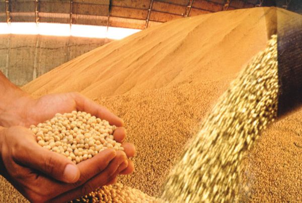 Aumento na produo de soja impulsiona PIB em Mato Grosso