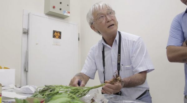 Morre o pesquisador Jos Tadashi, o pai do vazio sanitrio