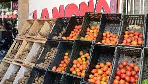 Preo do tomate deve desacelerar ainda em abril, diz FGV