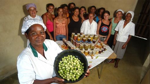 Ministrio do Desenvolvimento Agrrio libera recursos para cursos de capacitao para mulheres rurais em MT