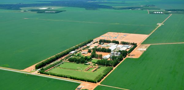 Fazenda Ribeiro do Cu, em Nova Mutum - uma das unidades de produo de gros da Vanguarda em Mato Grosso